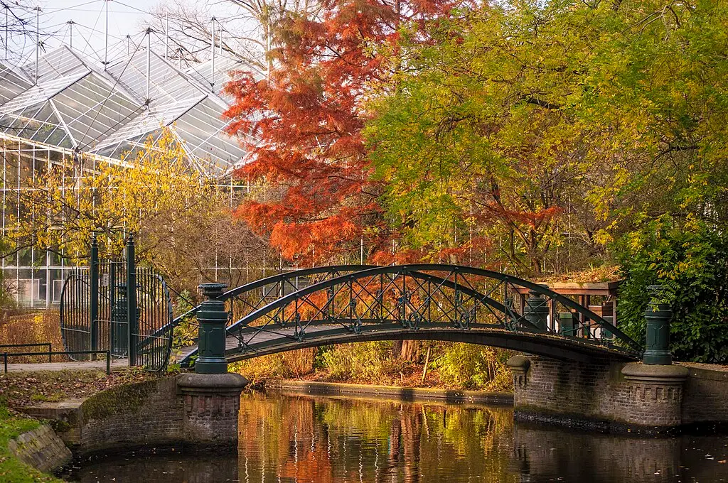 Hortus Botanicus, Amsterdam