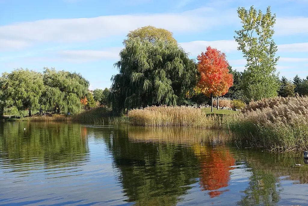 Parc Jarry, Montreal