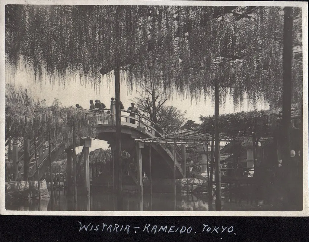 Kameido Tenjin Shrine, Tokyo