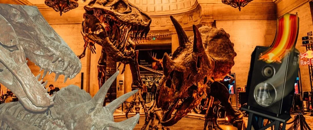 Haunted Night at the Museum