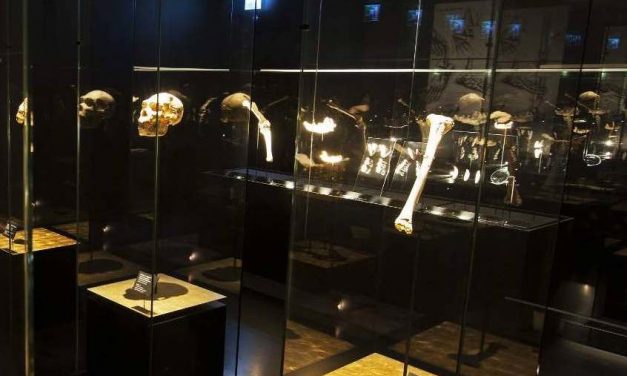 Atapuerca y la Evolución Humana
