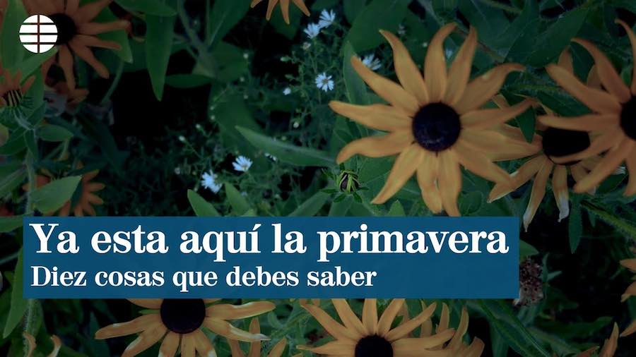 ya está aquí la primavera
