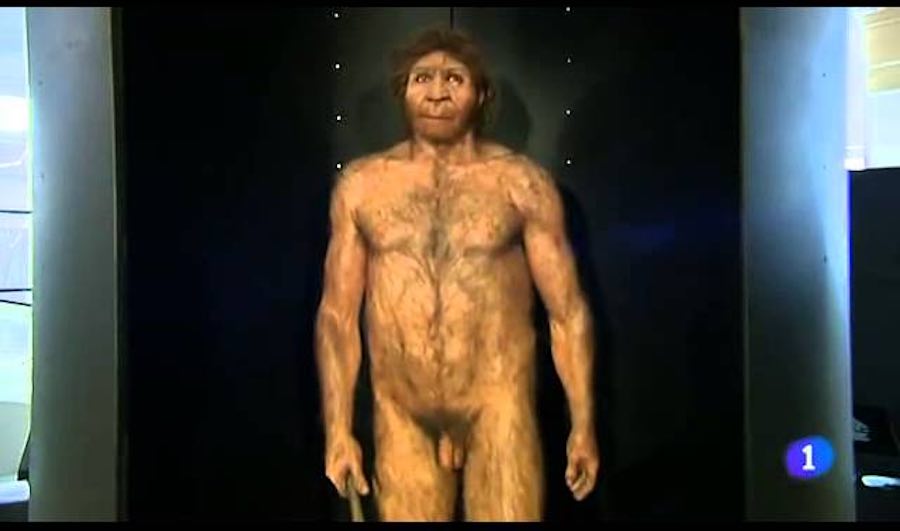 prehistoria atapuerca prehistoria atapuerca