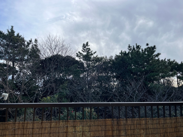 バルコニーからは海を眺めます