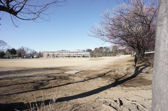 野田市立清水台小学校