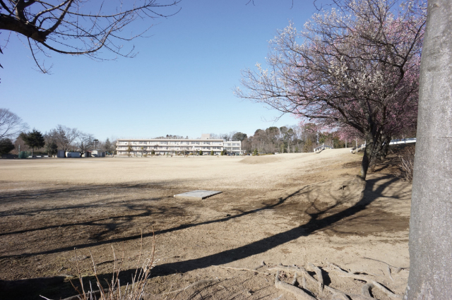 野田市立清水台小学校