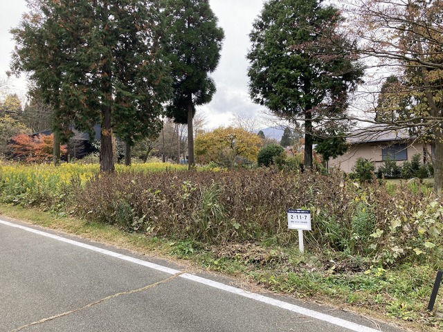 熊本県阿蘇市一の宮町宮地