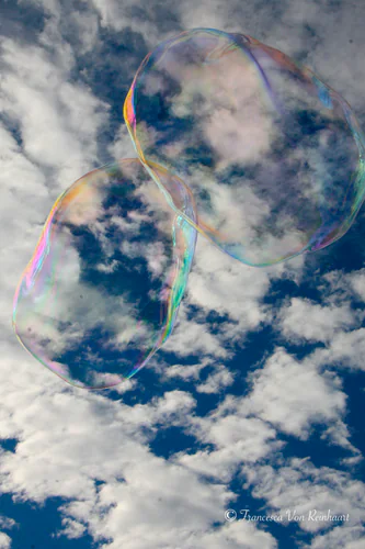 Giant bubbles floating above the Channon Market in New South Wales