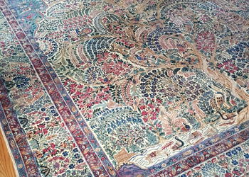 beautiful area rug.png