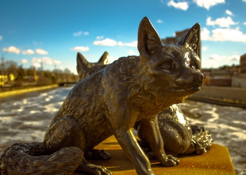 bigstock-Closeup-Of-Monument-Of-Foxes-O-237319114.jpg