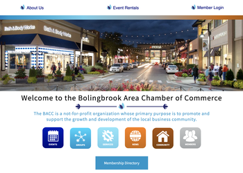 Bolingbrook Website Screenshot.png