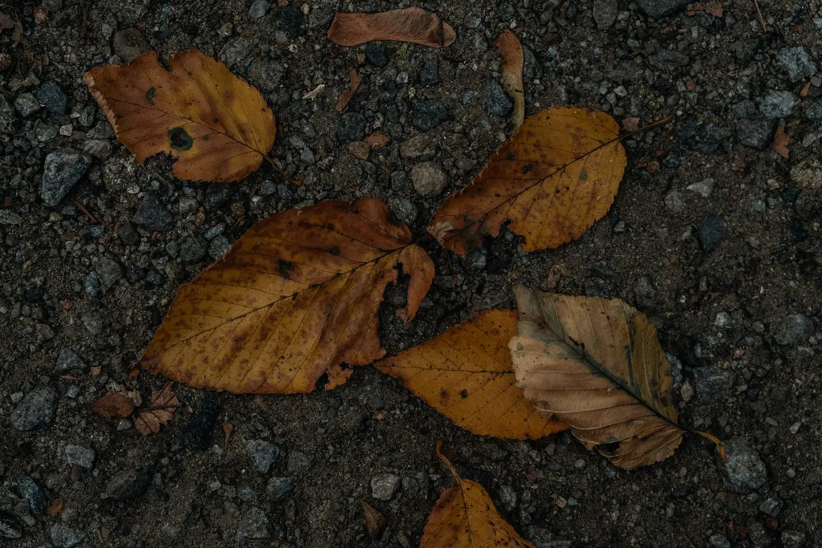 Photo by Y M on Unsplash