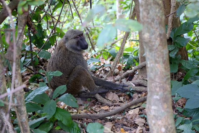 072413_tanzania_12.jpg
