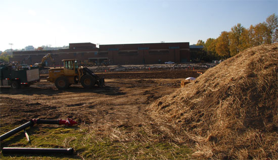 550multipurpose1108121.jpg