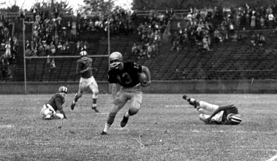 5501950stadium.jpg