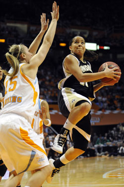 250ut_wbb11511.jpg