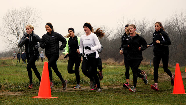 XC_preview.jpg