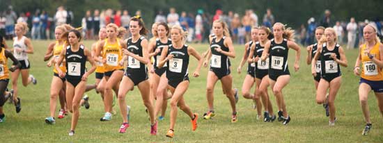 WXC