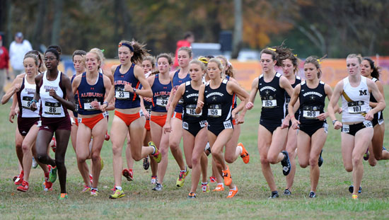 550wxcsecchamps102612.jpg