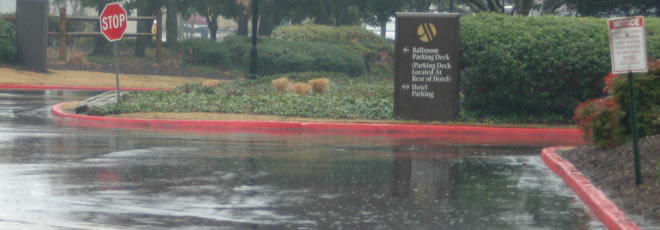 rainday.jpg