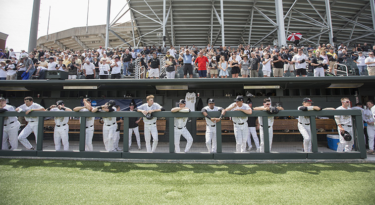 757dugout060416.jpg