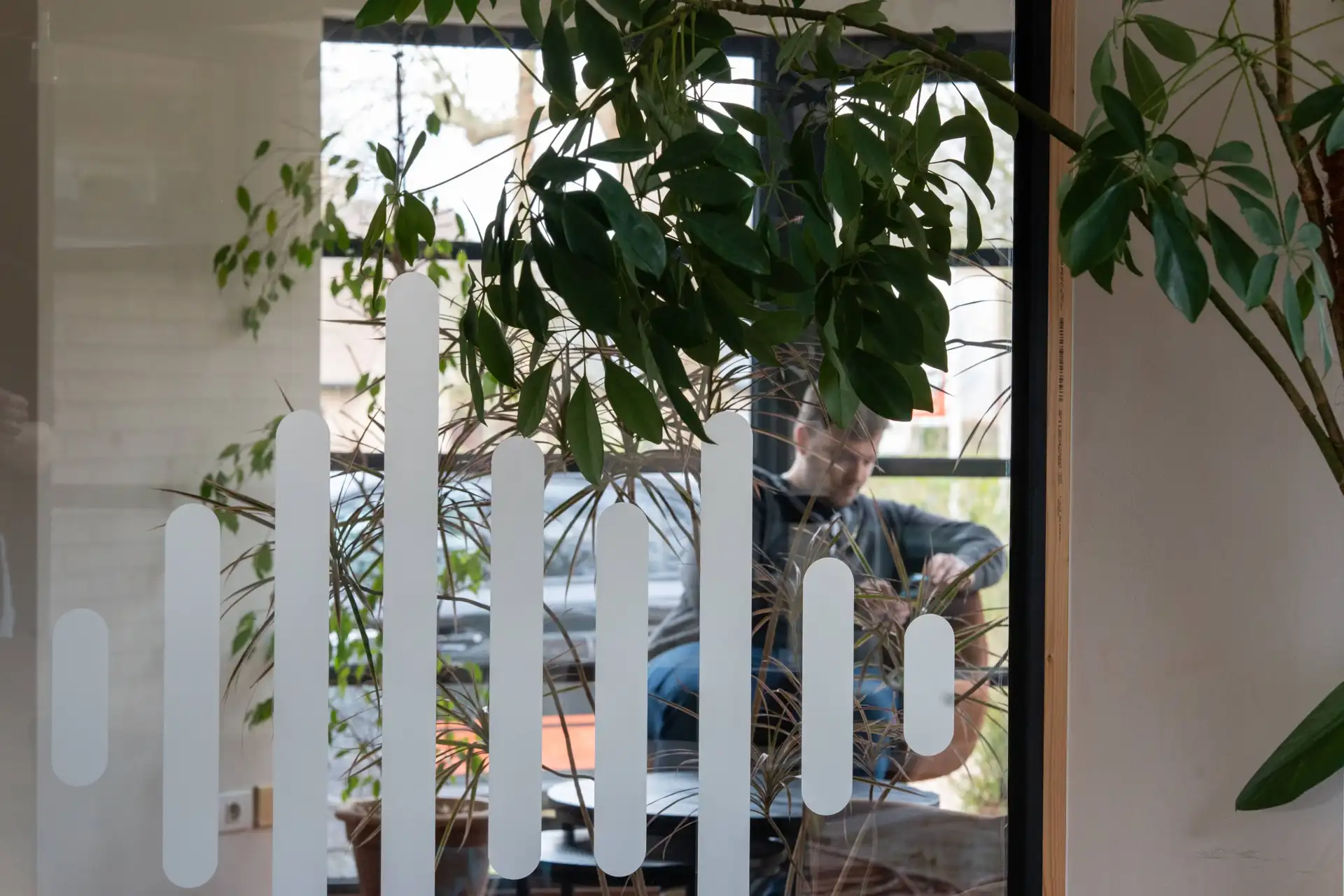Meeting room with plants