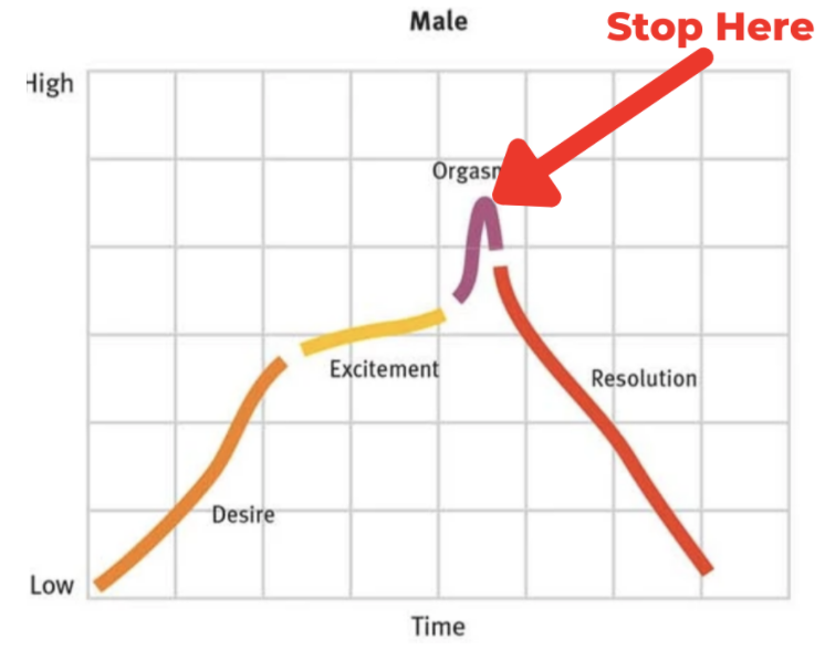 graph of male erectness over time. Points out the point of no return. Cool down before this point to achieve multiple male orgasms