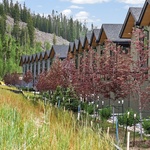 Alternate image 21