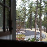 Alternate image 72