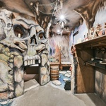 Alternate image 15