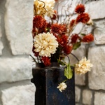 Alternate image 113