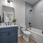 Alternate image 8