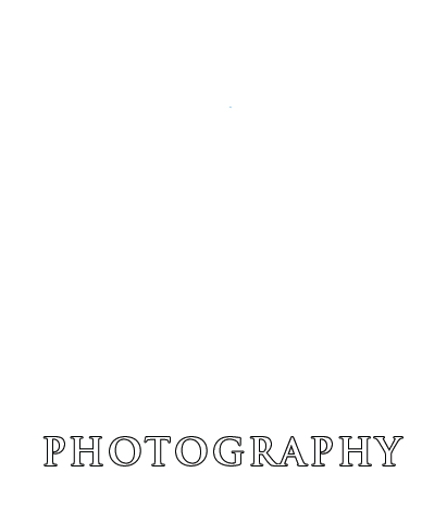 Royl Photography Logo