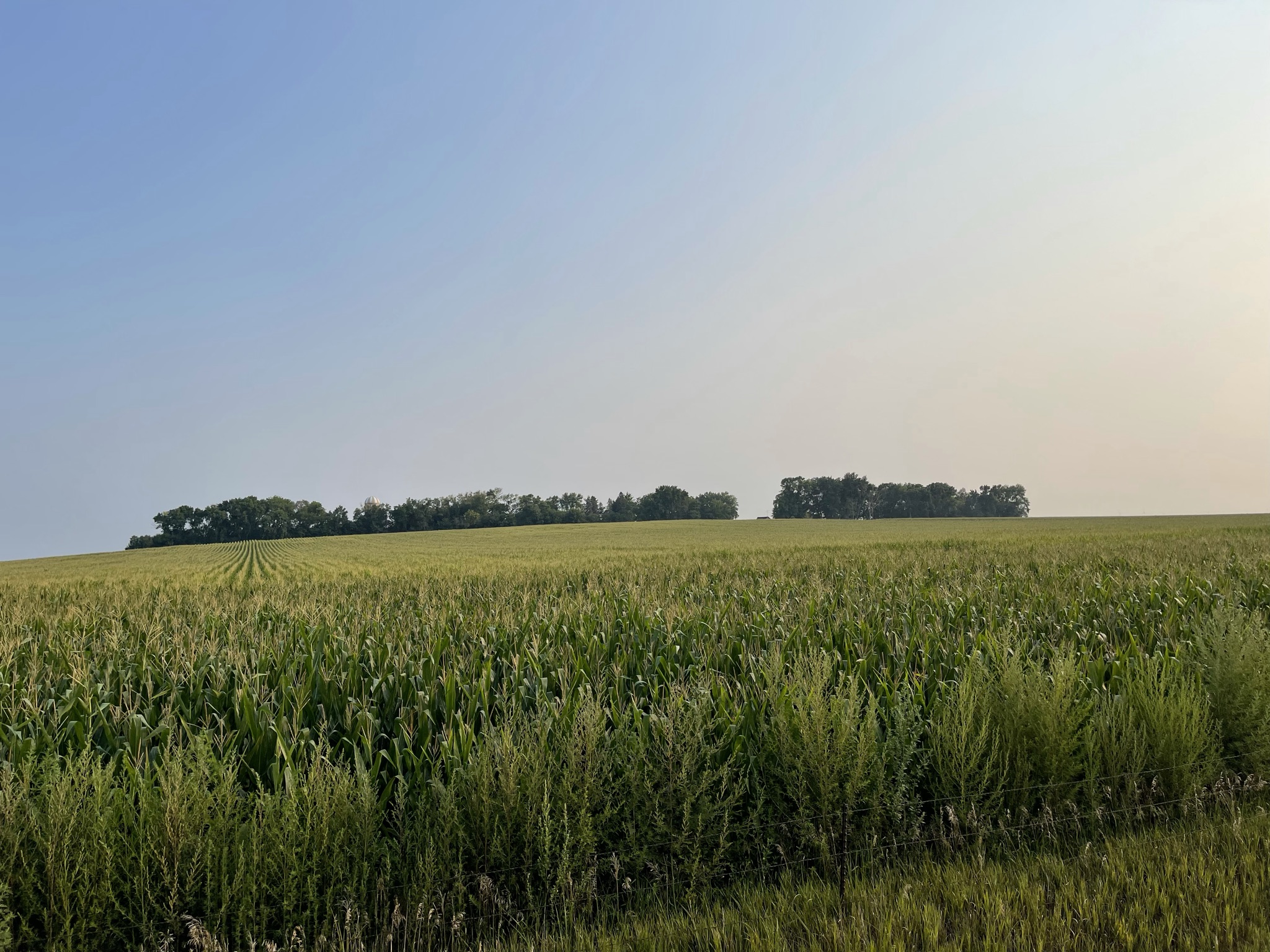 Event Gallery