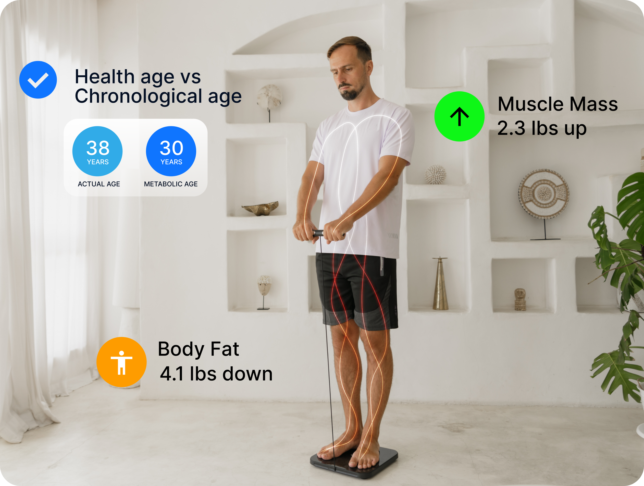 Body fat, muscle and water tracked over time