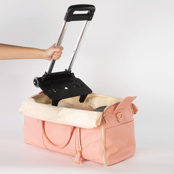 Telescopic handle and detachable wheels