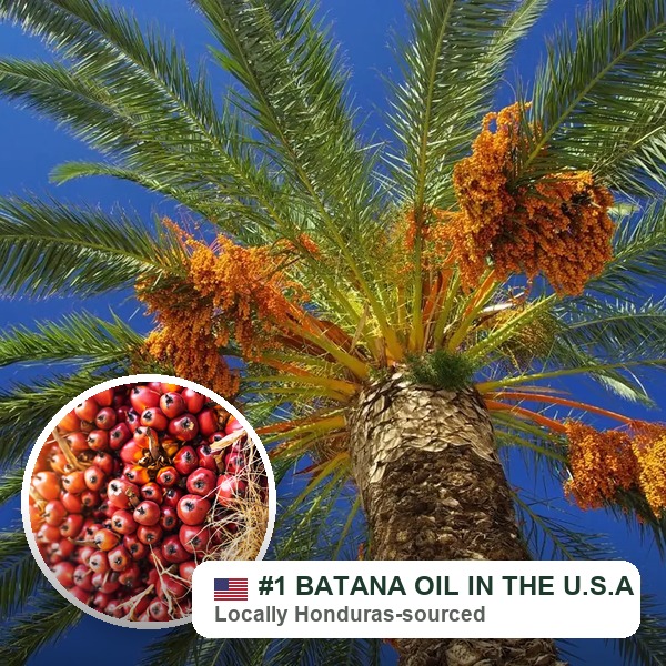 Golden batana oil rich in vitamins and omega fatty acids