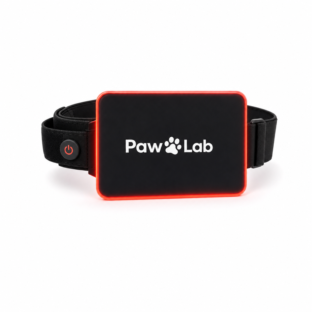 PawLab