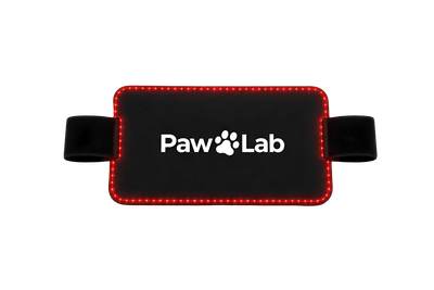 PawLab Pet Red Light Pad