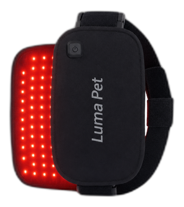 Luma Pet Red Light Pad