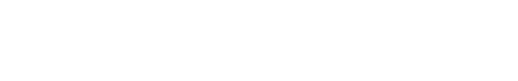 Wellness Review