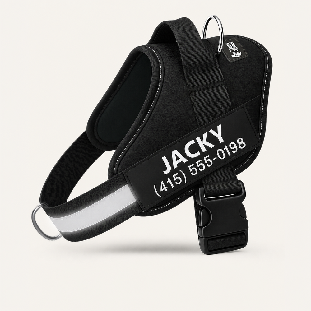 Dogshood No Pull Harness with front d-ring