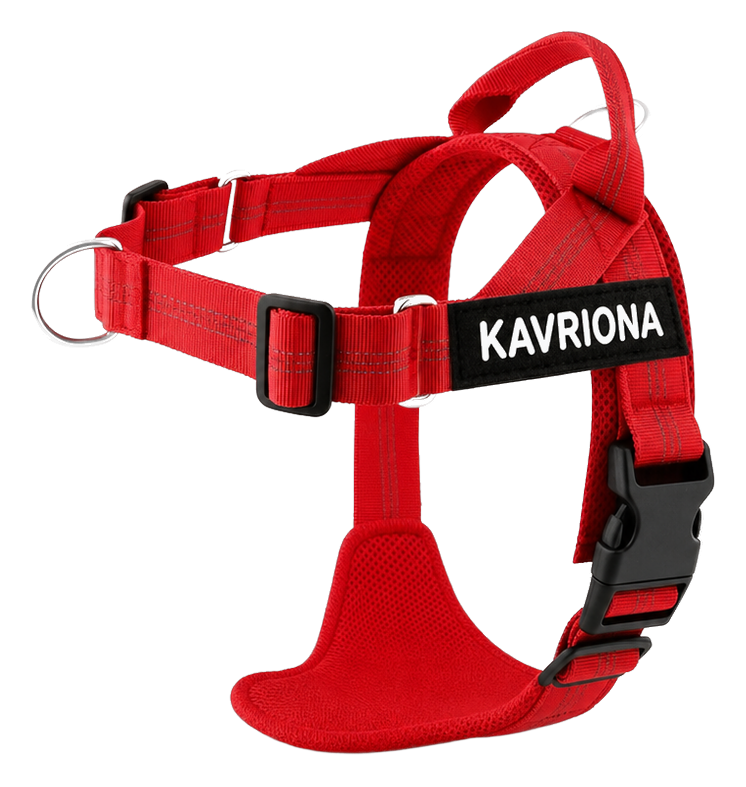 Kavriona Personalized No-Pull Harness