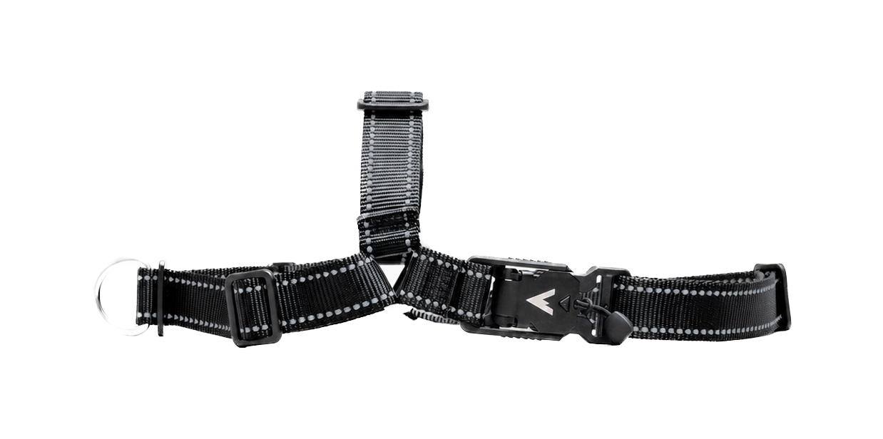 Atlas Pet Company Lifetime Harness