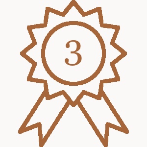 A line drawing of a third-place award ribbon.