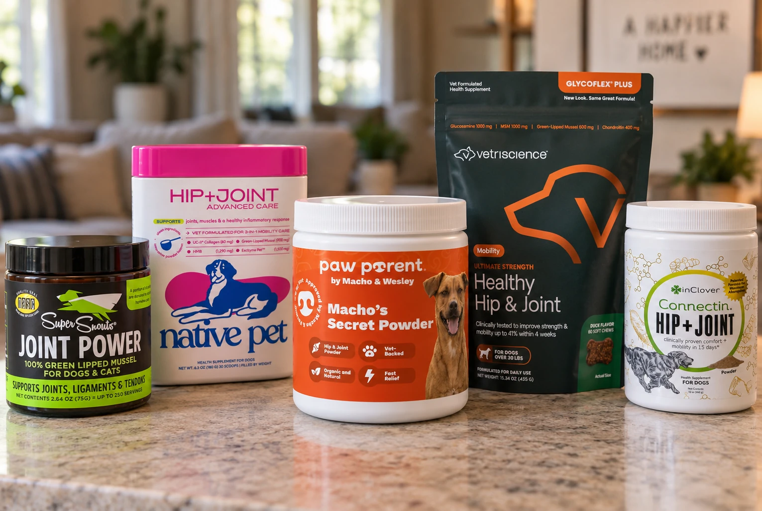 The five dog hip and joint supplements we tested side by side