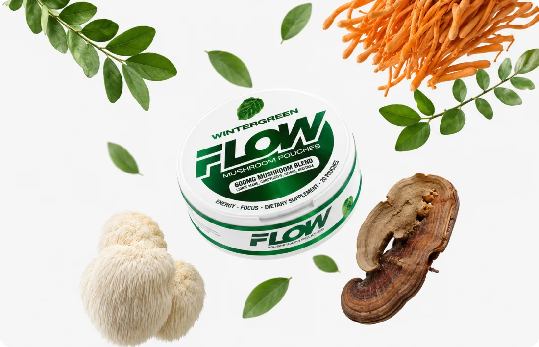 A can of Wintergreen Flow surrounded by lion’s mane, cordyceps and reishi mushrooms