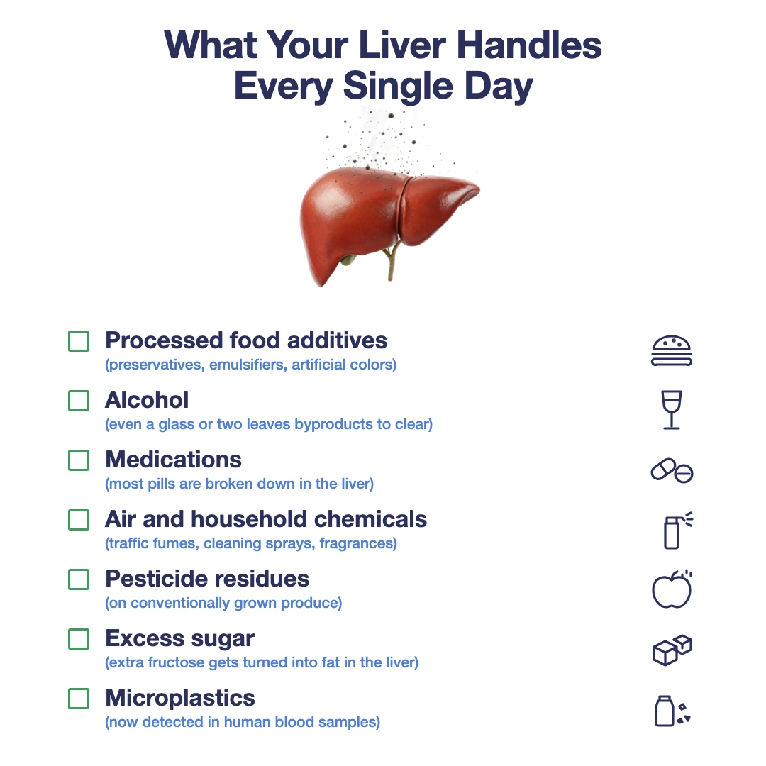 What your liver handles every single day