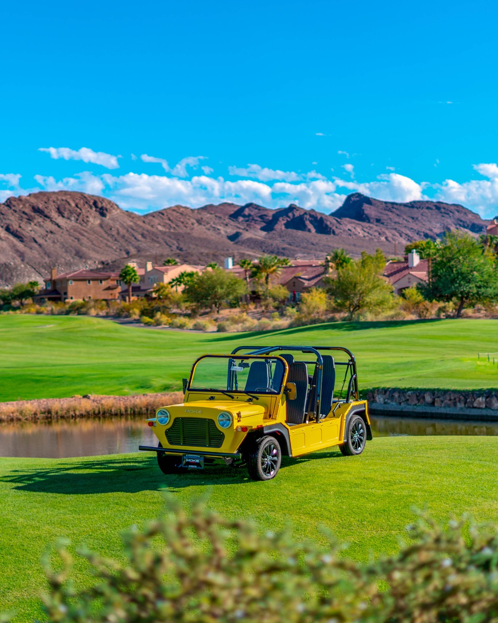 Moke On Grass