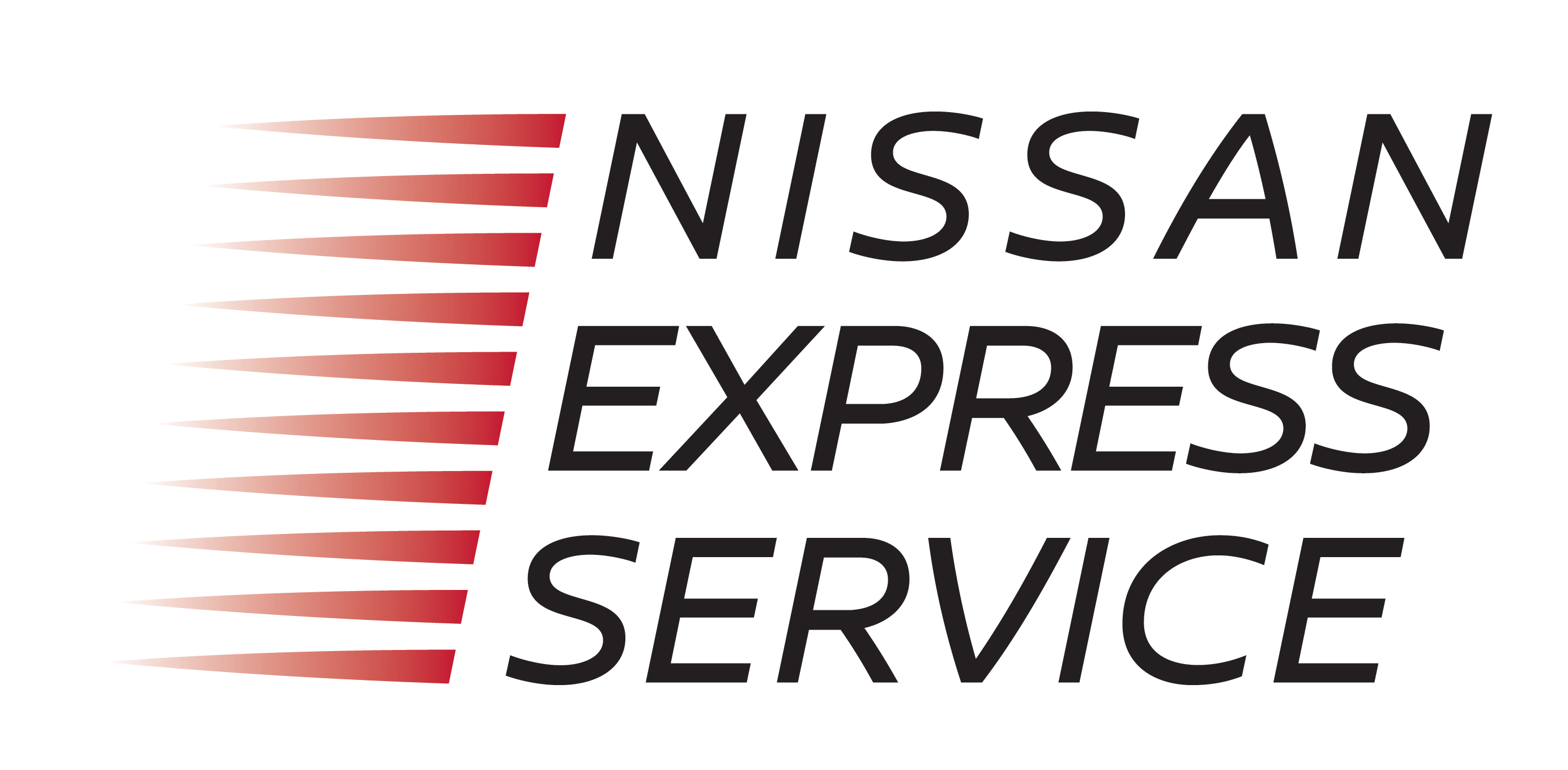 Express Service Logo